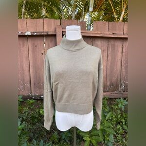 Wilfred Free Aritizia Harper Sweater Cropped Turtleneck Size S Tahoe